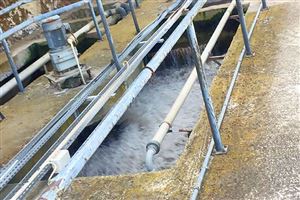 Remember That Every Drop Counts!  4